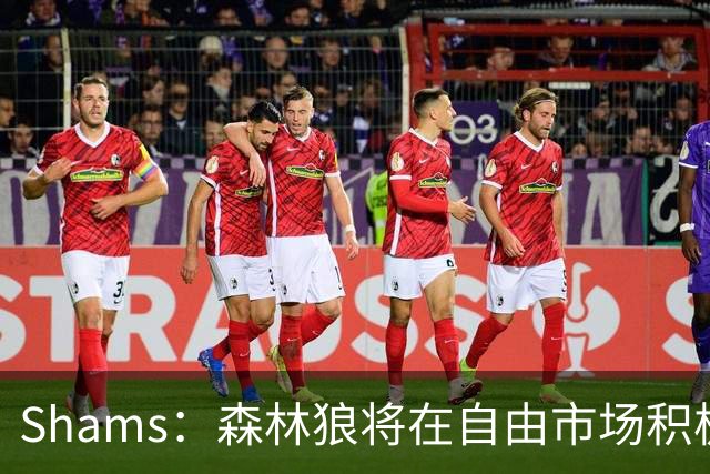 Shams：森林狼将在自由市场积极补强4号位 但他们只能提供底薪